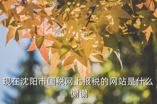 國稅交稅的網站是什么，現在沈陽市國稅網上報稅的網站是什么 謝謝