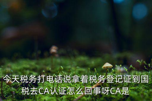 稅務局ca證書是什么，今天稅務打電話說拿著稅務登記證到國稅去CA認證怎么回事呀CA是