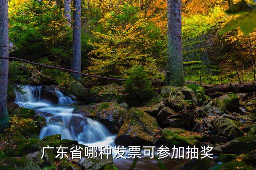 什么發票可以抽獎，廣東省哪種發票可參加抽獎