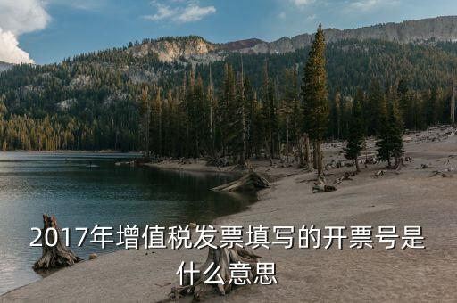 2017年增值稅發票填寫的開票號是什么意思