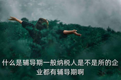 什么是輔導期一般納稅人是不是所的企業都有輔導期啊