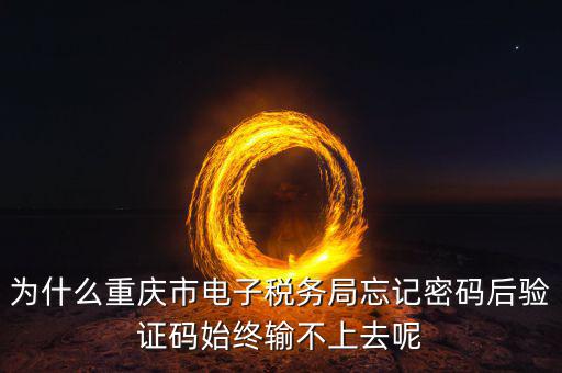 重慶電子稅務局什么時間開始，重慶渝北區地稅局就是一支路那個的作息時間是幾點到幾點啊