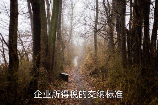 企業所得稅的交納標準