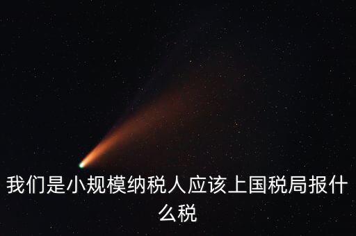 我們是小規模納稅人應該上國稅局報什么稅