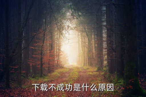 納稅人下載失敗是什么原因，下載東西失敗是什么原因導致