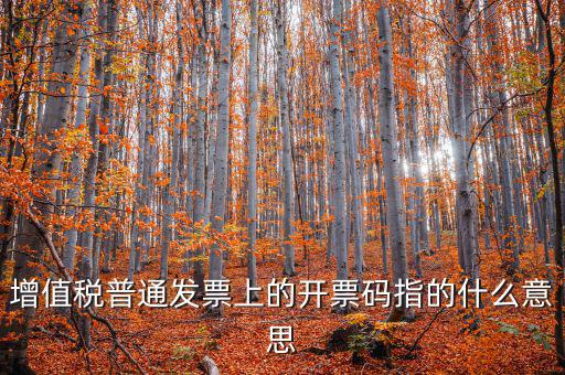 稅控盤開票碼是什么意思，增值稅普通發票上的開票碼指的什么意思