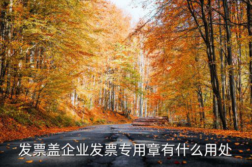 發票專用章有什么用，公司的發票專用章是干嘛用的