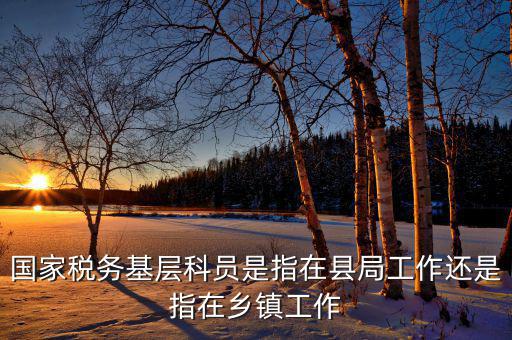 稅務系統的基層指什么，國家稅務基層科員是指在縣局工作還是指在鄉鎮工作