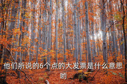 他們所說的6個點的大發票是什么意思喲