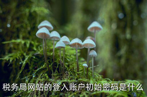稅務局網站的登入賬戶初始密碼是什么
