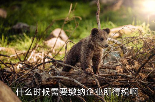 什么時候需要繳納企業所得稅啊
