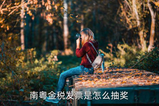 南粵金稅發票是怎么抽獎