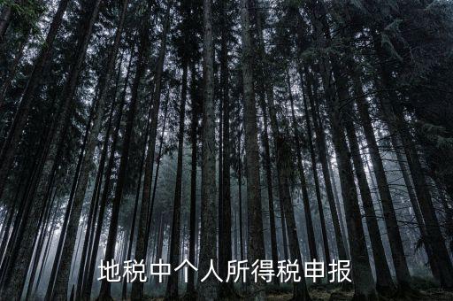 地稅申報個稅是什么意思，為什么地稅要登記個稅呢