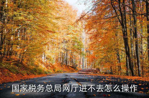 國家稅務總局網廳進不去怎么操作