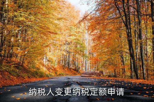 變更納稅定額什么意思，調整應納稅所得額什么意思