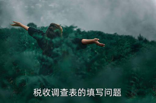 稅收調查表的填寫問題