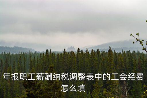 工會經費應稅項填什么，網上報稅時又多了一項工會經費怎樣填寫計算