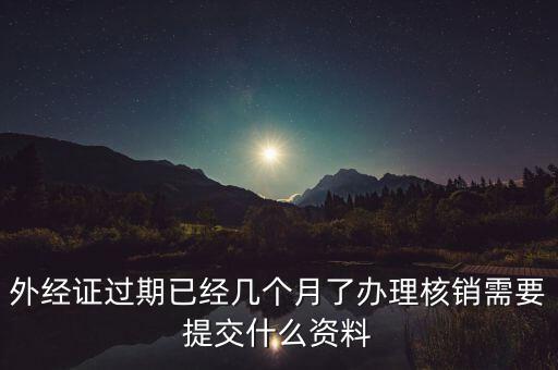 國稅外經證核銷帶什么，去國稅買外銷發票帶什么東西