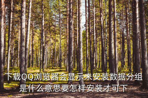 下載QQ瀏覽器會顯示未安裝數據分組是什么意思要怎樣安裝才可下