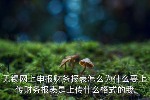 為什么要上傳報表，無錫網上申報財務報表怎么為什么要上傳財務報表是上傳什么格式