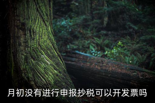 月初沒有進行申報抄稅可以開發票嗎