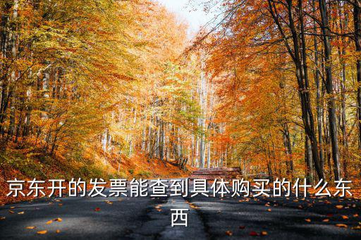 京東開的發票能查到具體購買的什么東西