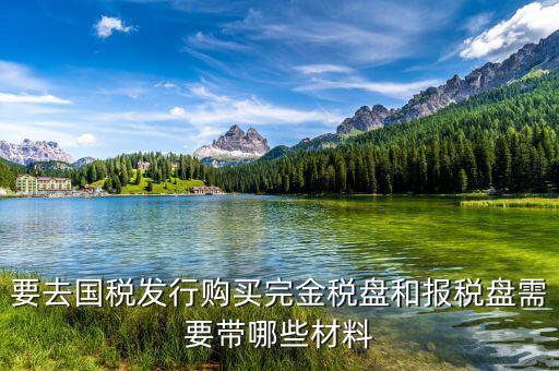 購(gòu)買金稅盤(pán)要帶什么，購(gòu)買增值稅發(fā)票系統(tǒng)金稅盤(pán)需帶什么資料