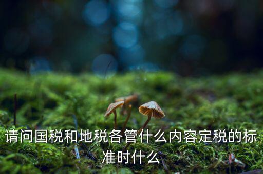 請問國稅和地稅各管什么內容定稅的標準時什么
