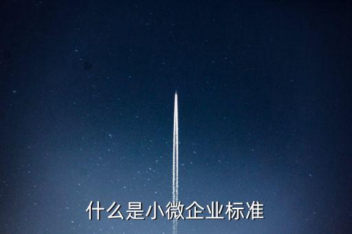 什么樣的標準是小薇企業，什么是小微企業標準