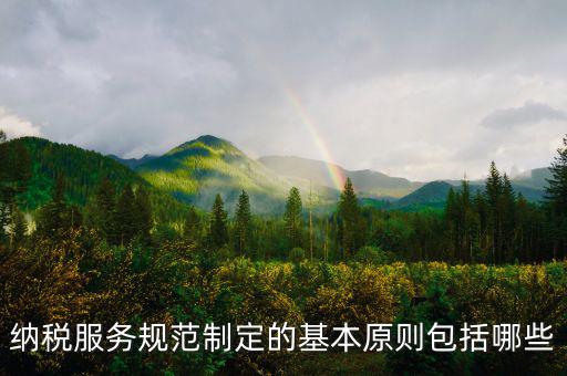 納稅服務規范制定的基本原則包括哪些