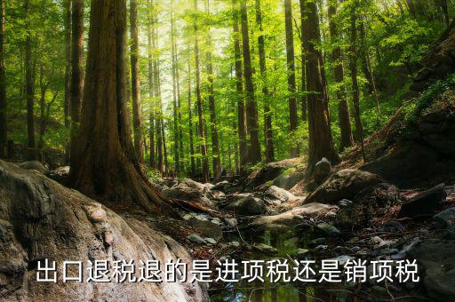 出口退稅退的是什么稅，出口退稅退的是進項稅還是銷項稅