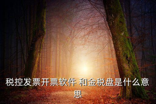 稅控發票開票軟件 和金稅盤是什么意思