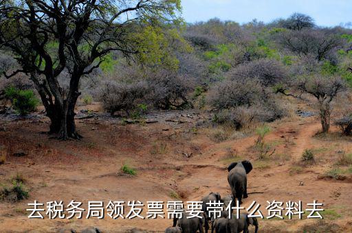 去稅務局領發票需要帶什么資料去
