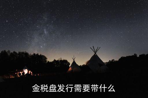 金稅盤發行需要帶什么