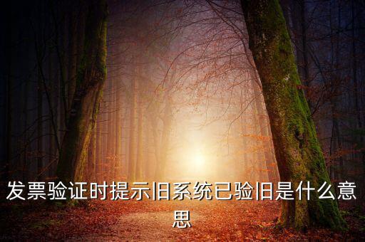發票的驗舊時間是什么意思，發票驗證時提示舊系統已驗舊是什么意思