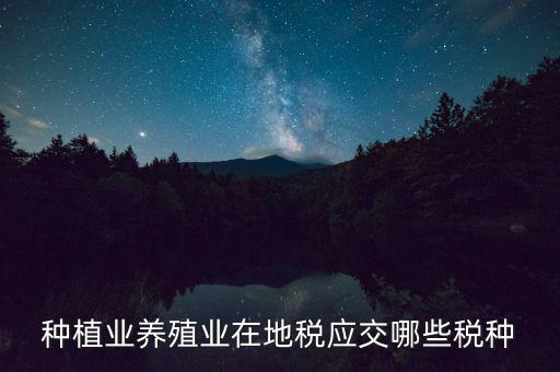 種植業養殖業在地稅應交哪些稅種