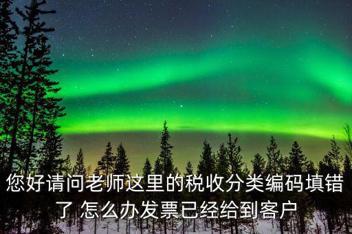 您好請問老師這里的稅收分類編碼填錯了 怎么辦發票已經給到客戶