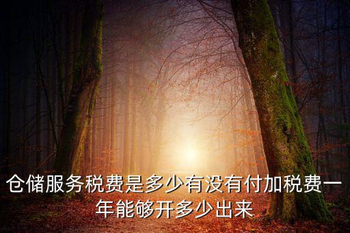 倉(cāng)儲(chǔ)服務(wù)稅費(fèi)是多少有沒有付加稅費(fèi)一年能夠開多少出來