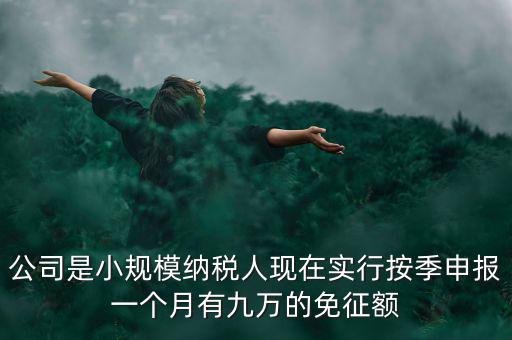 公司是小規模納稅人現在實行按季申報一個月有九萬的免征額