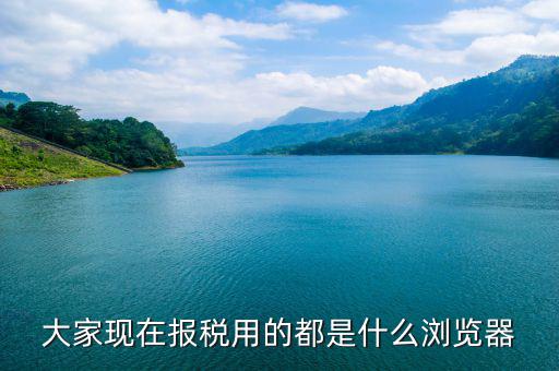 大家現在報稅用的都是什么瀏覽器