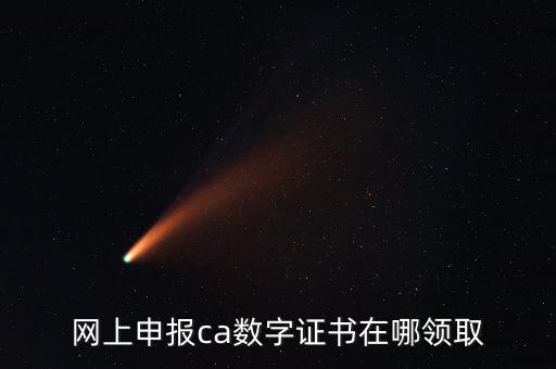 網上申報ca數字證書在哪領取