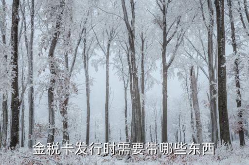 金稅盤發行帶什么，金稅卡發行時需要帶哪些東西