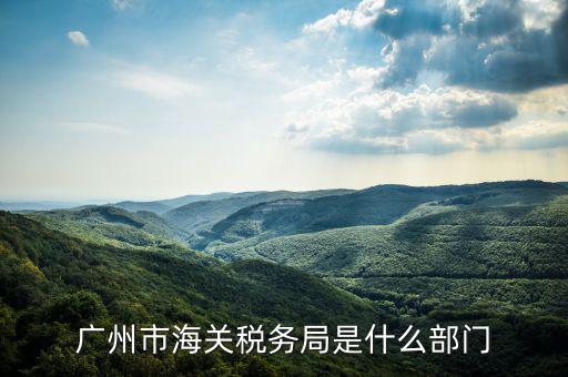 稅務總局國際司干什么，國家稅務總局是正部級