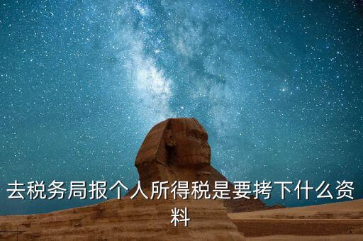 去稅務局報個人所得稅是要拷下什么資料