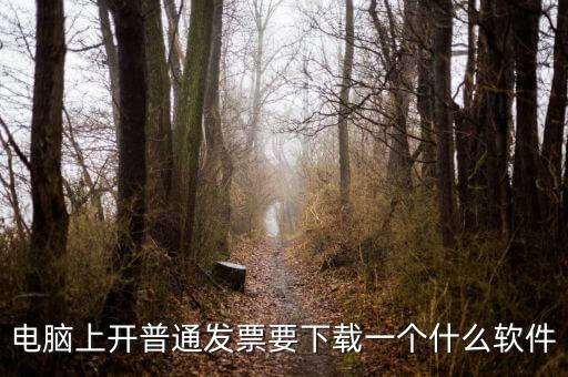 網絡開票需要下載什么軟件下載，電腦打發票是不是要下載一個什么軟件