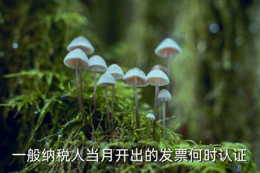 一般納稅人當月開出的發票何時認證