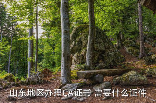 開通ca用什么資料，電子稅務局CA證書申請資料