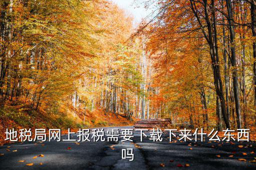 辦地稅都需要什么軟件，地稅網上申報軟件