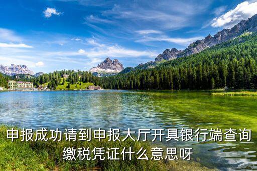 銀行端查詢繳稅憑證蓋什么章，銀行端查詢繳款憑證工會蓋什么章