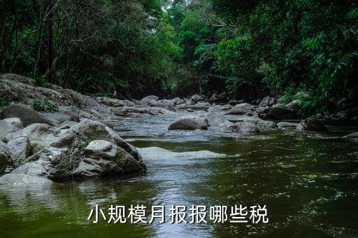 小規模納稅人季報什么，公司是小規模納稅人月報和季報時國稅和地稅各需報什么  搜